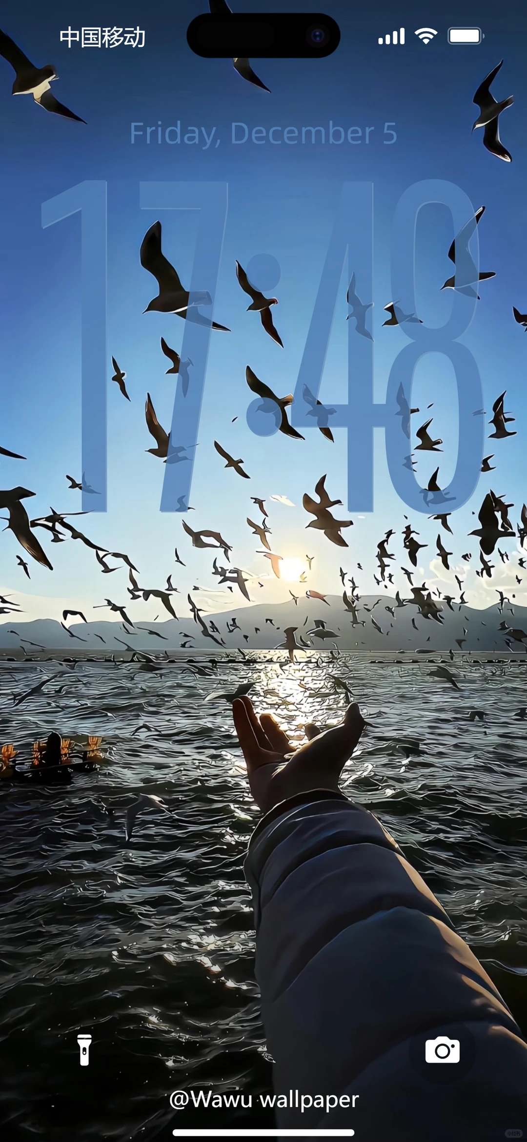 自由释放 | 小众高级壁纸 | 6434