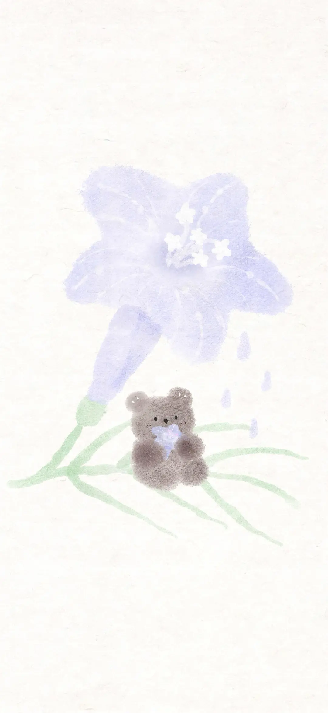 温柔治愈系｜幸运小熊🐻｜壁纸✨