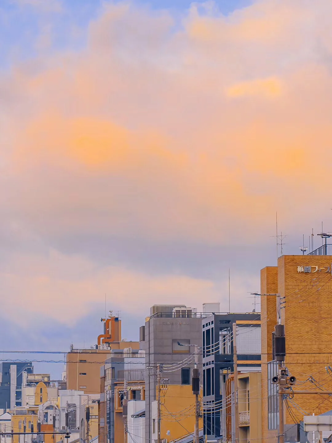 日系风手机壁纸