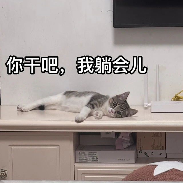 秋秋表情包第一弹