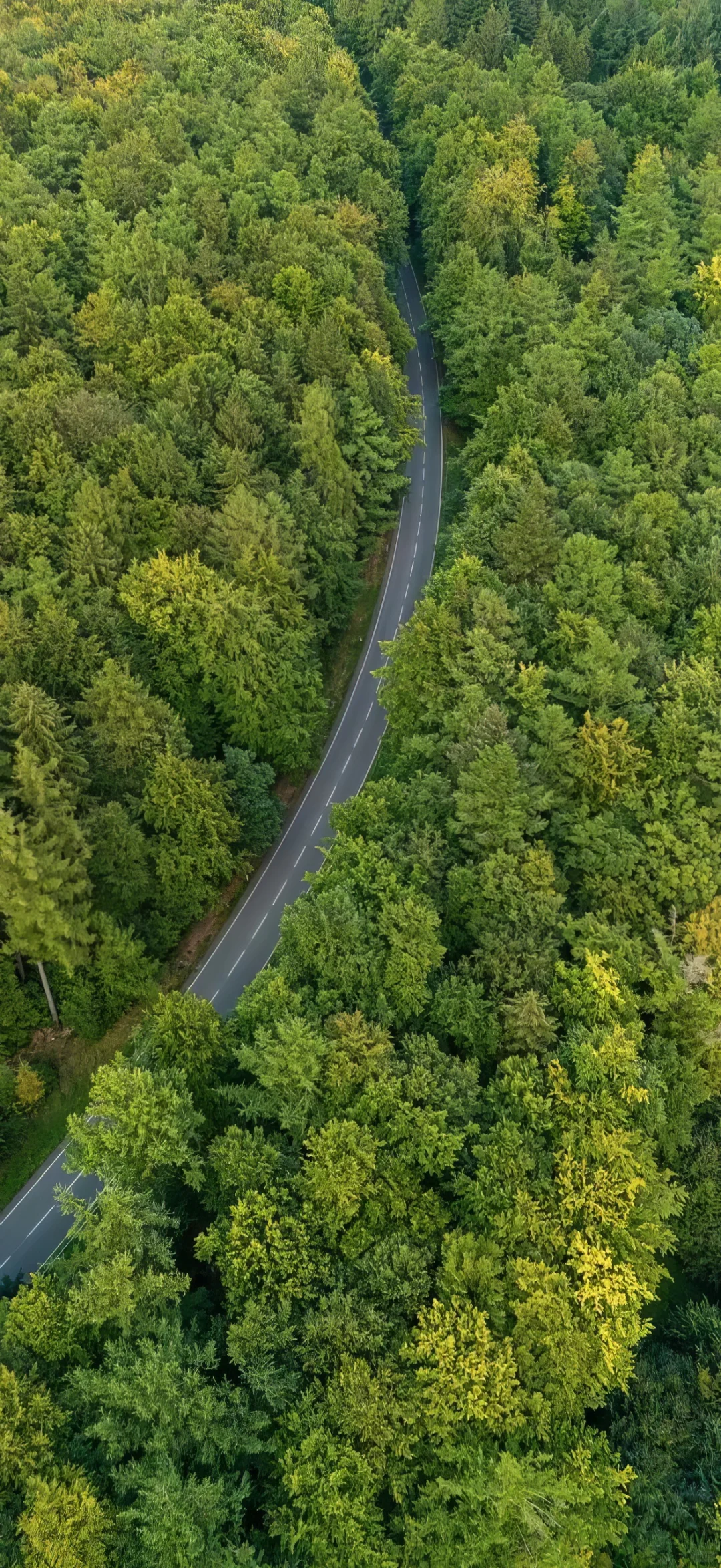 高清手机壁纸分享合集｜027