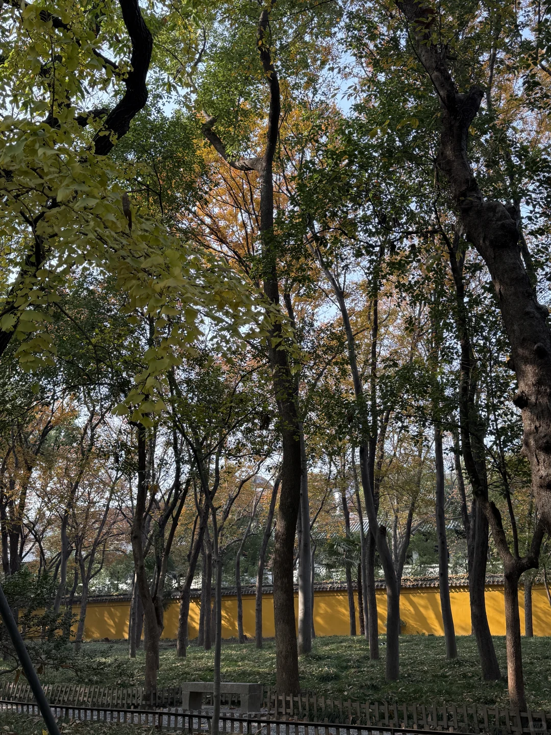 图片壁纸 分享随手拍