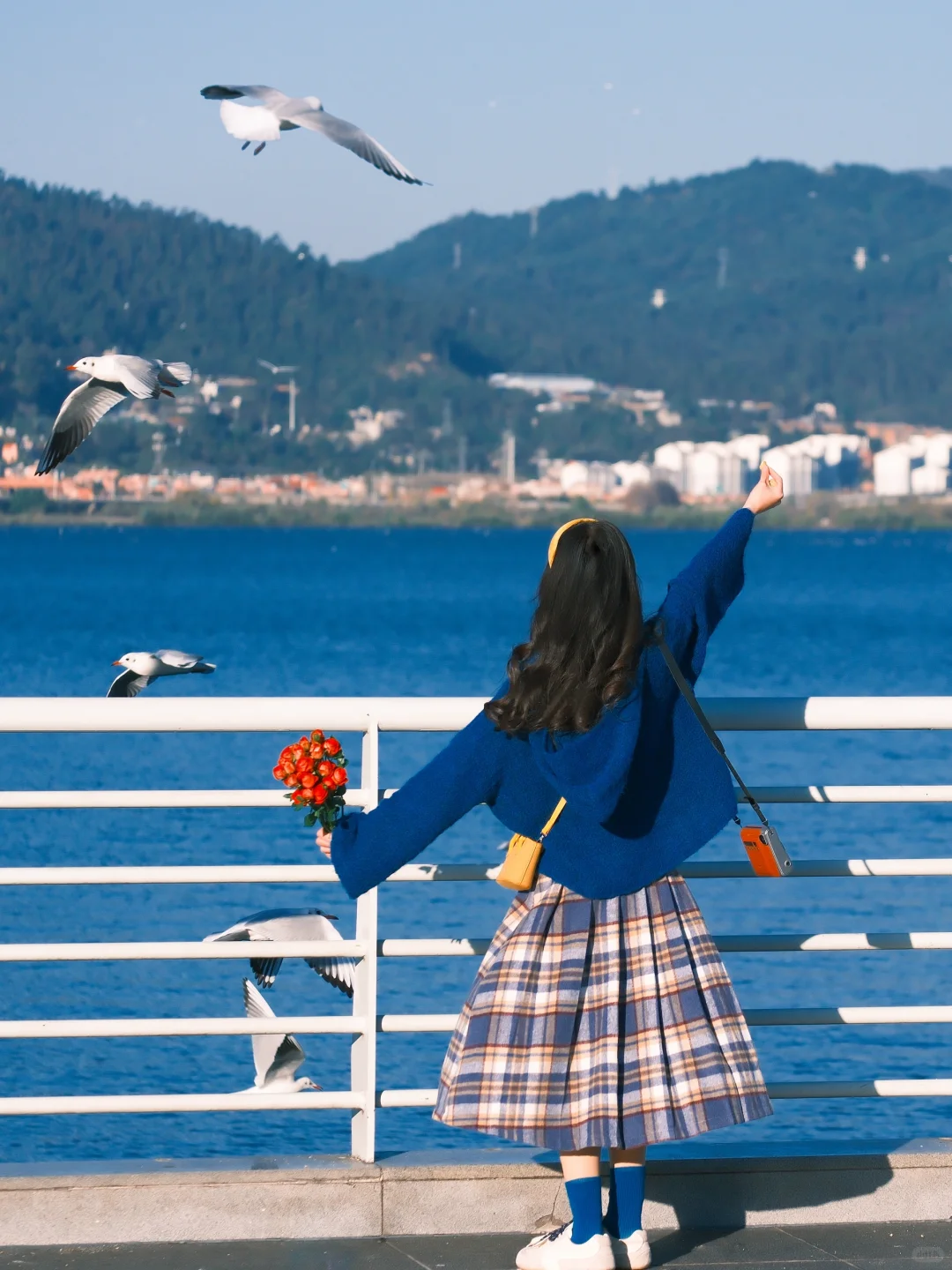 海边拍照 蓝调时刻🎞️冬天与海鸥都如约而至
