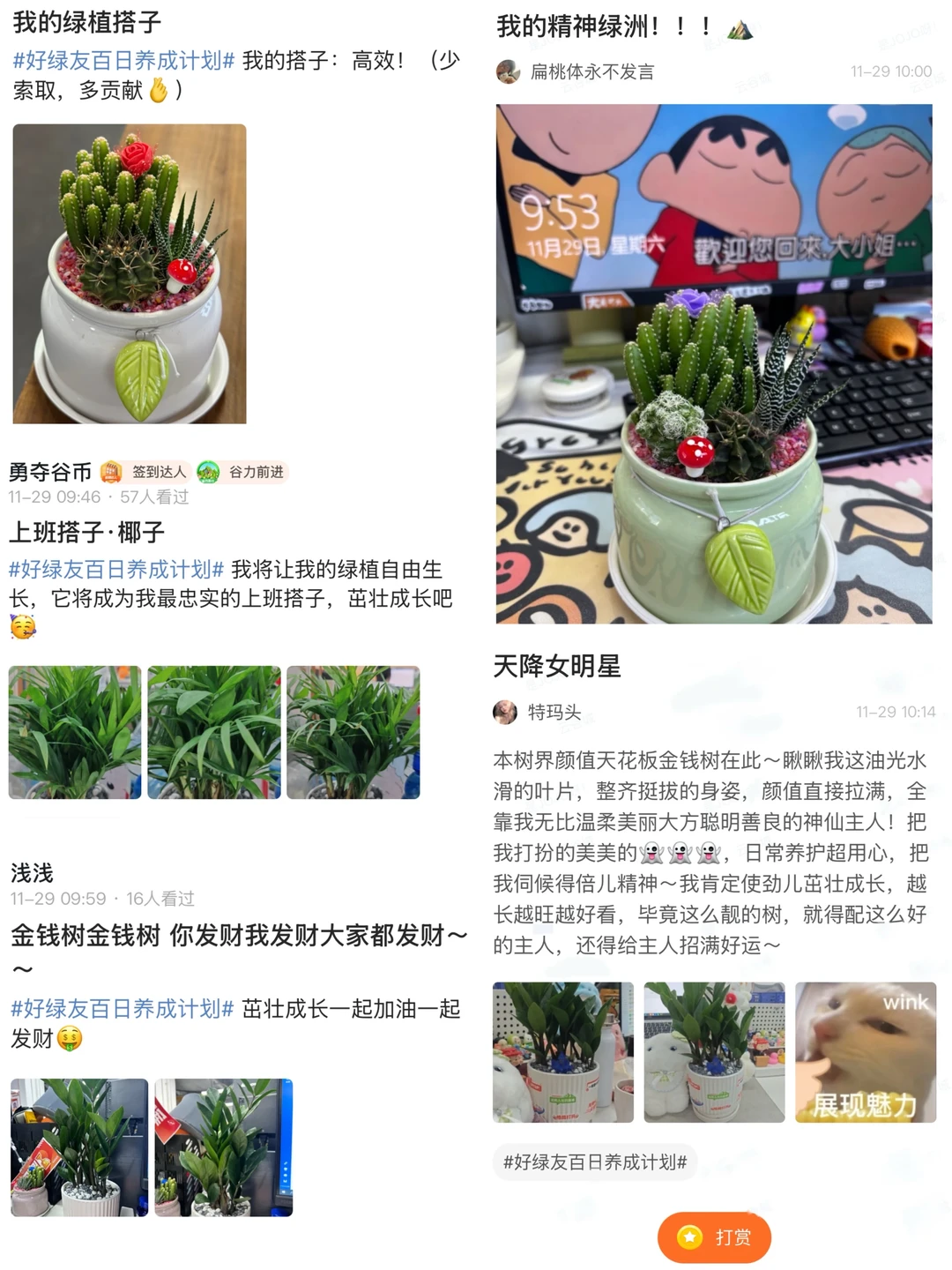 工位绿植｜快来PICK你最喜欢的娃仔🪴