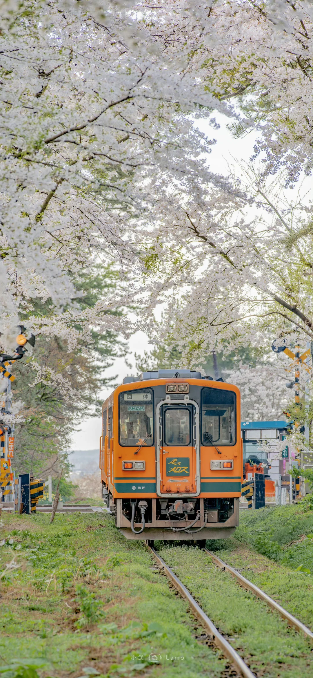 Share·壁纸｜日系壁纸