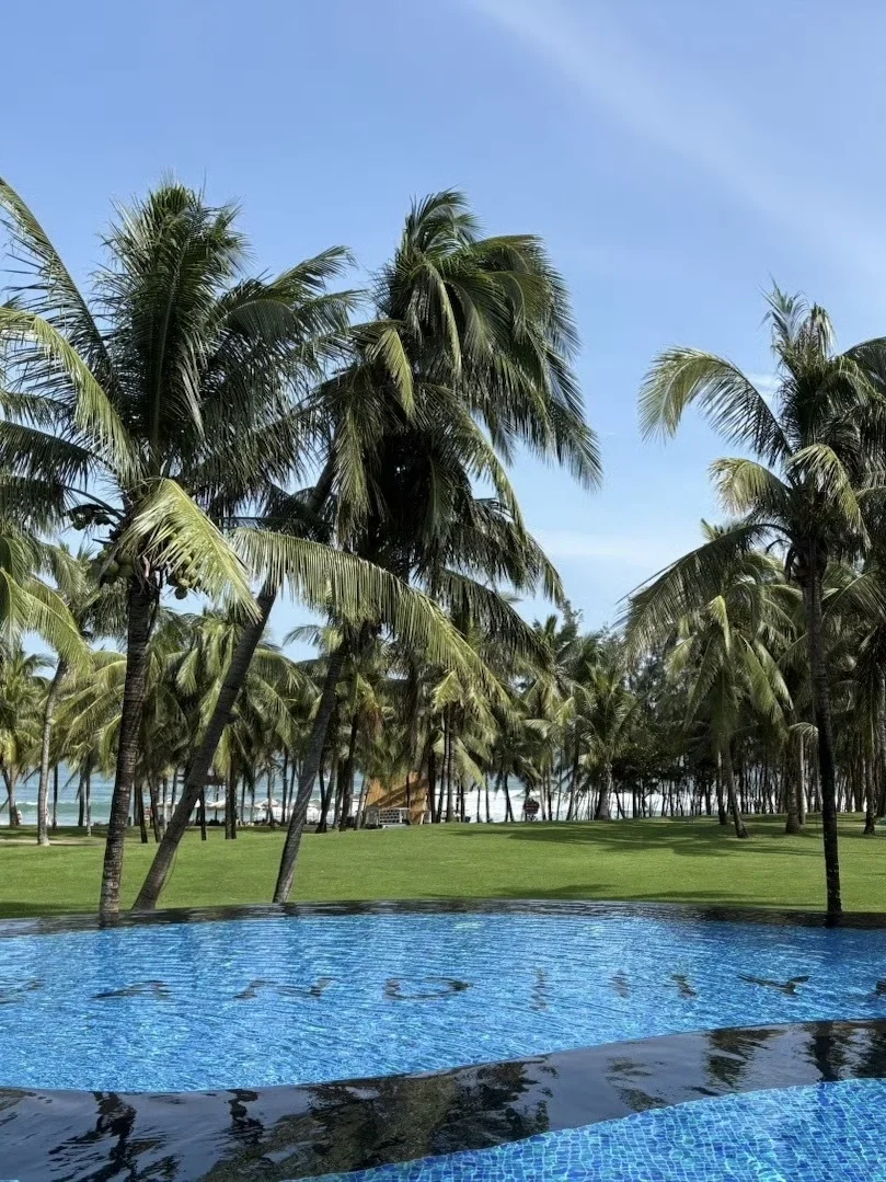 十一月的休time🏖️🌴👙