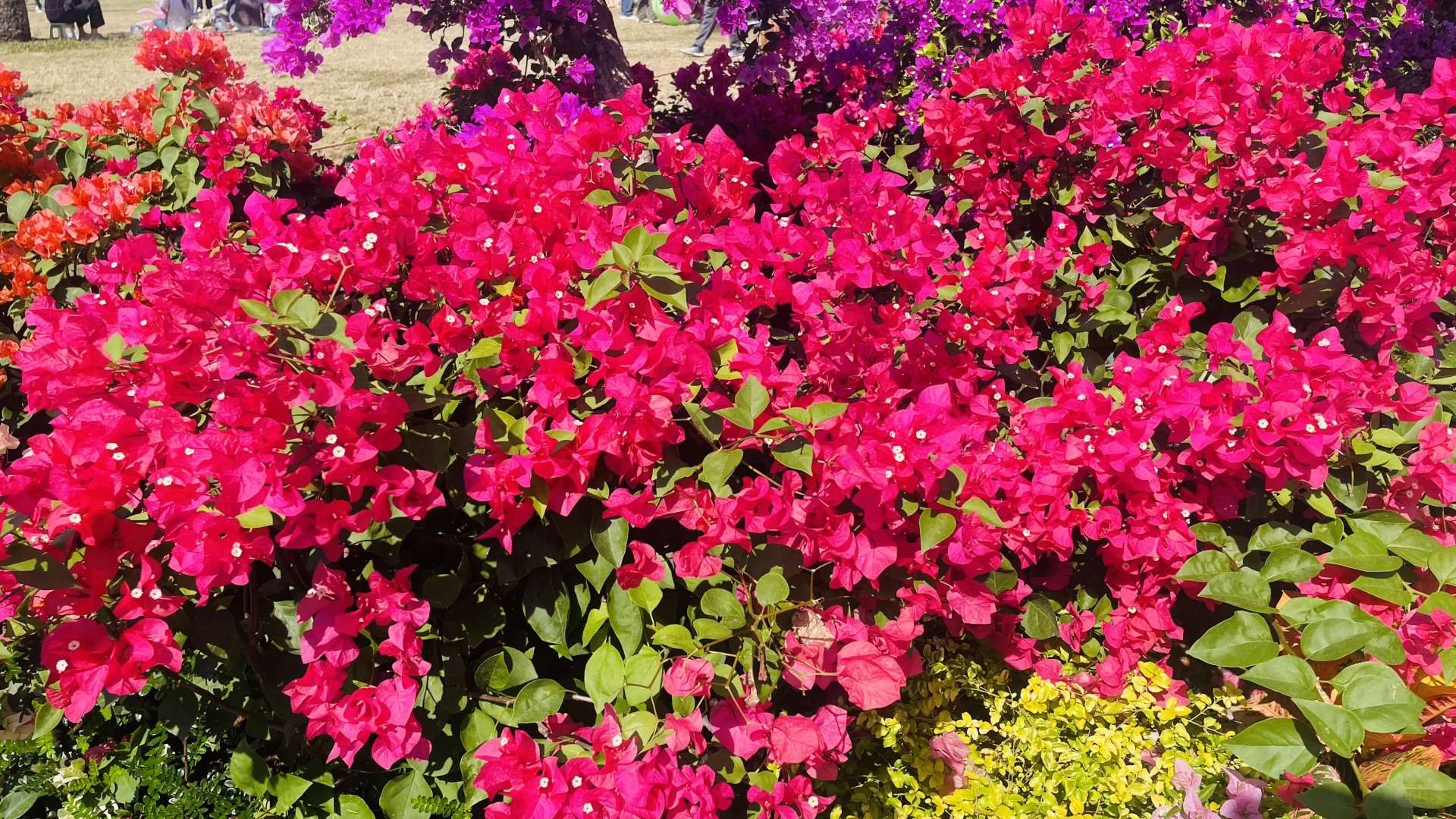 找对象：女找男（真诚的）