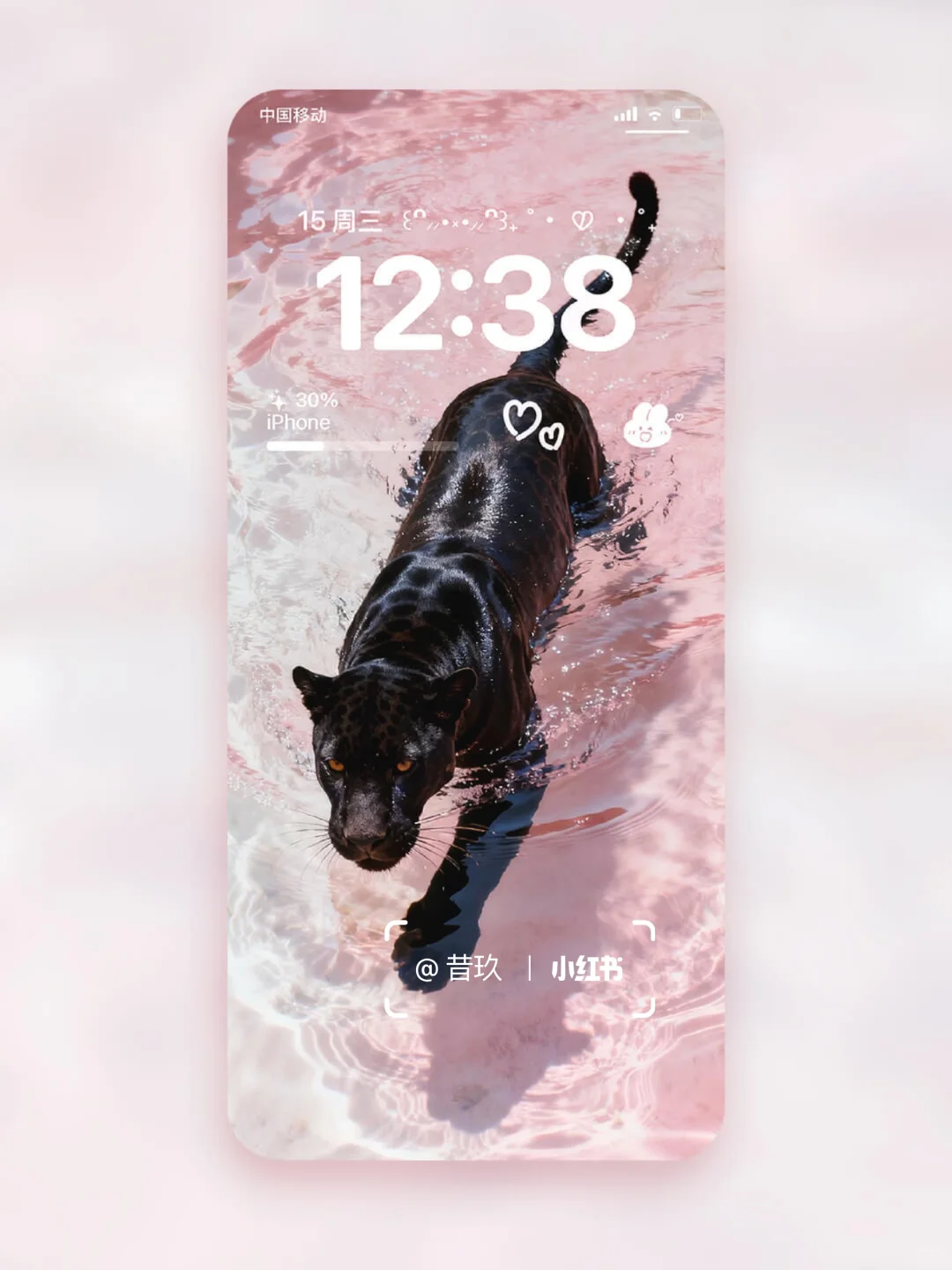 黑豹与粉色果冻海 流水生财｜豹富🐆