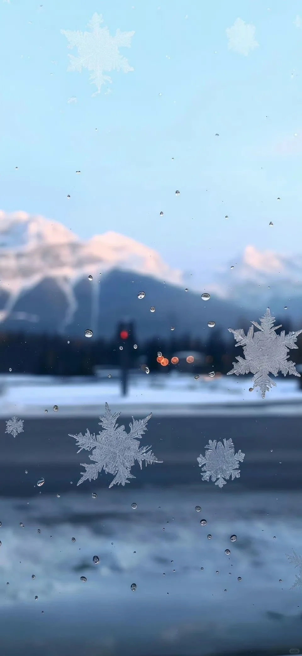 ❄️Share | 雪花壁纸