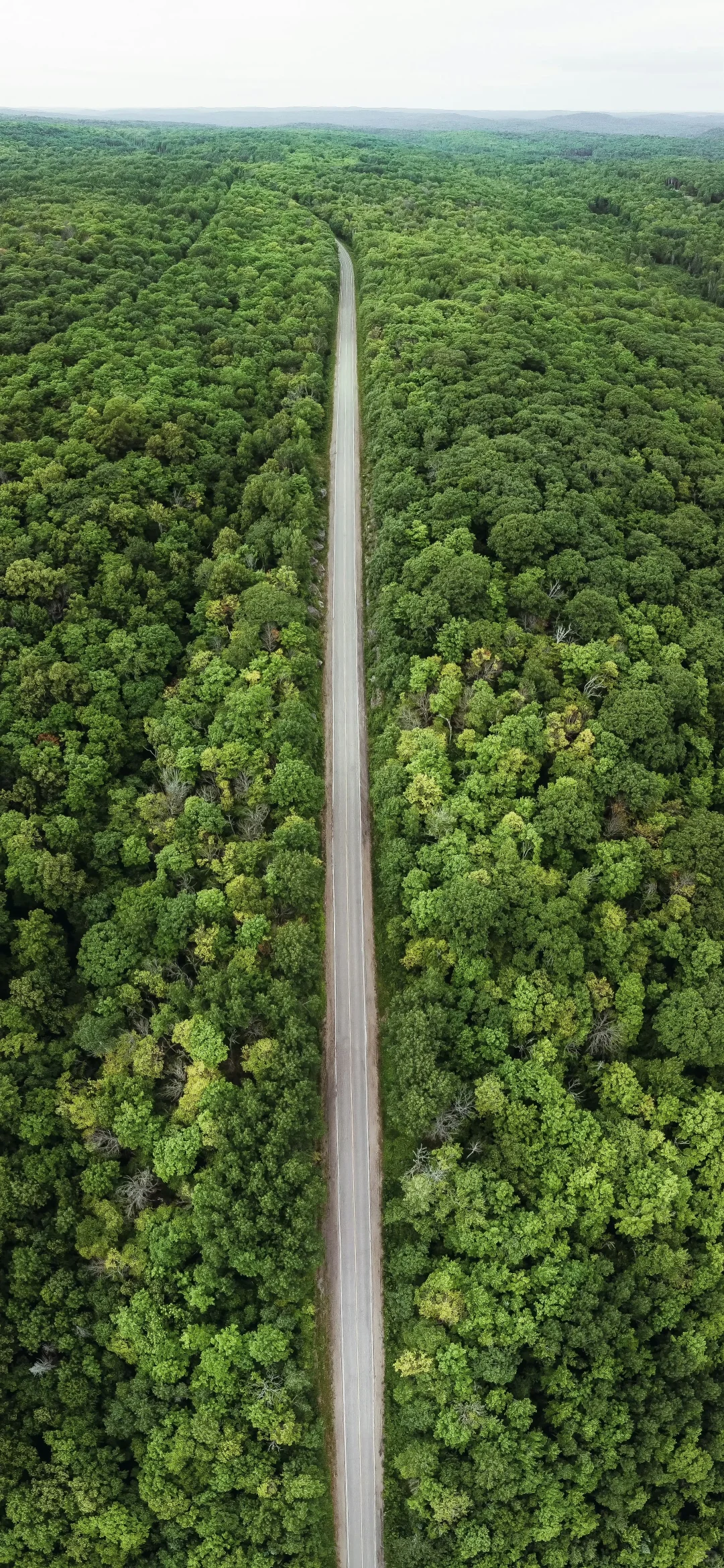 高清手机壁纸分享合集｜027