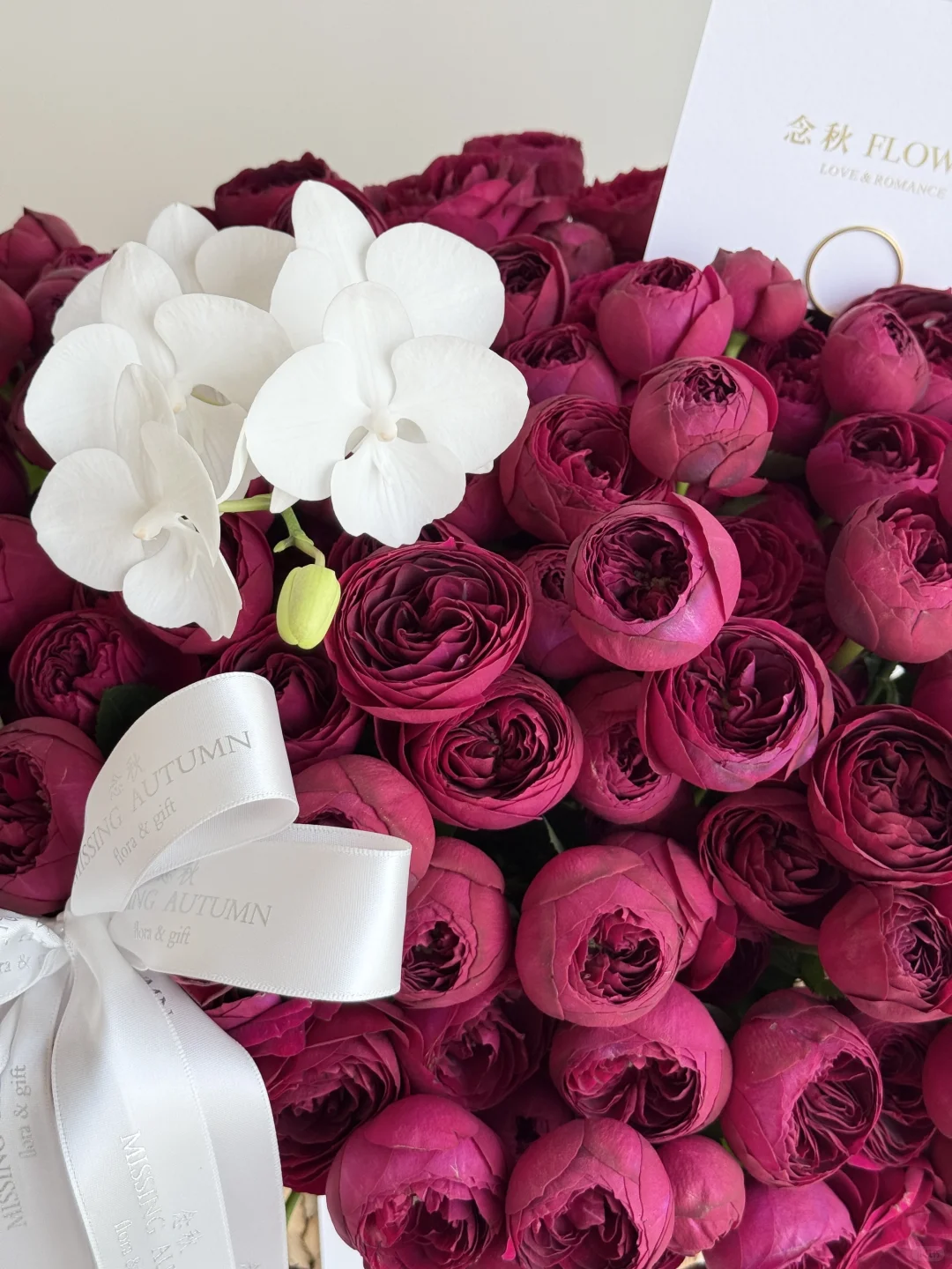 红蕾丝玫瑰🥀你是懂拿捏氛围感的！！！！！