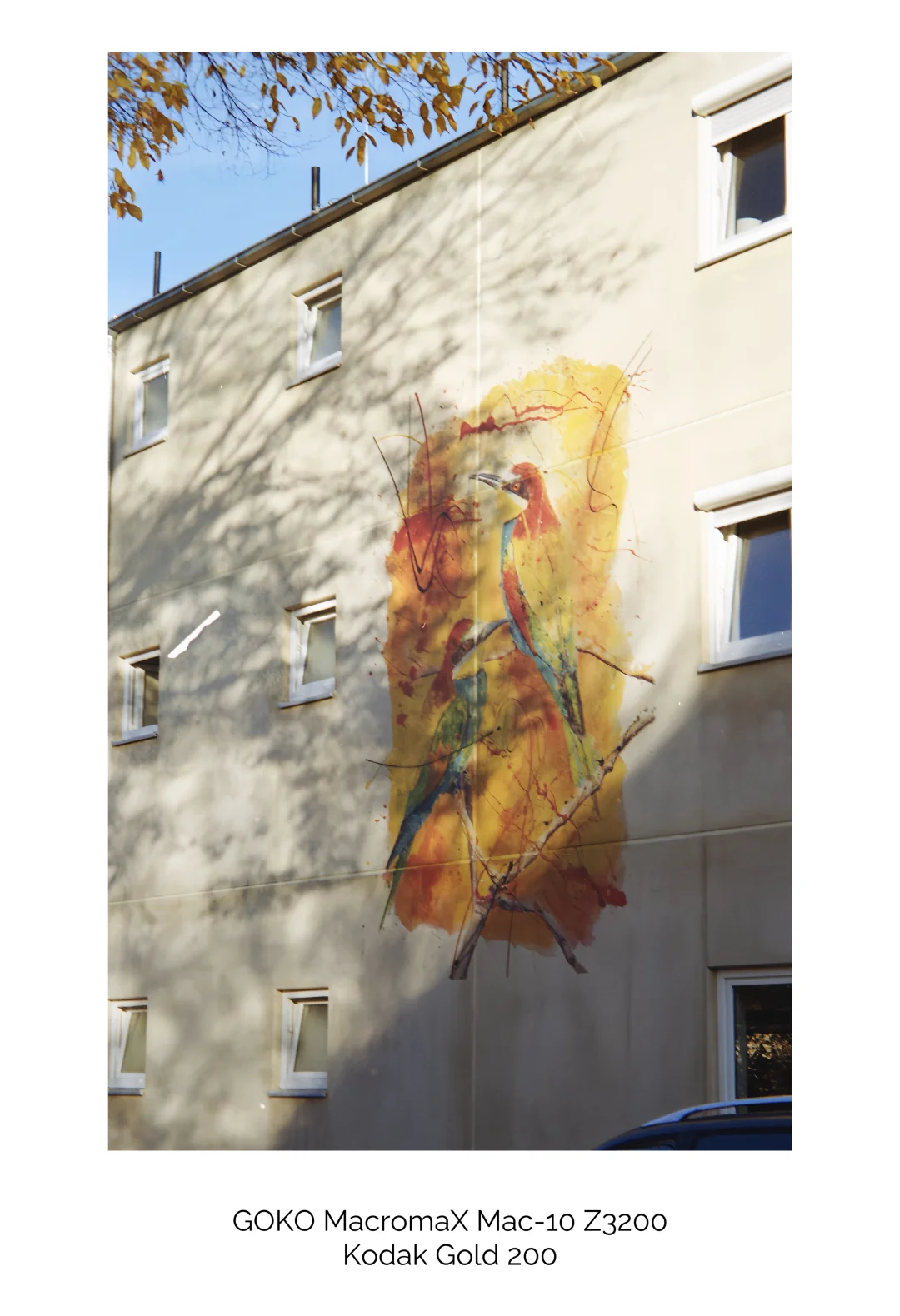 胶片傻瓜机拍私房🎞️亲密的那种