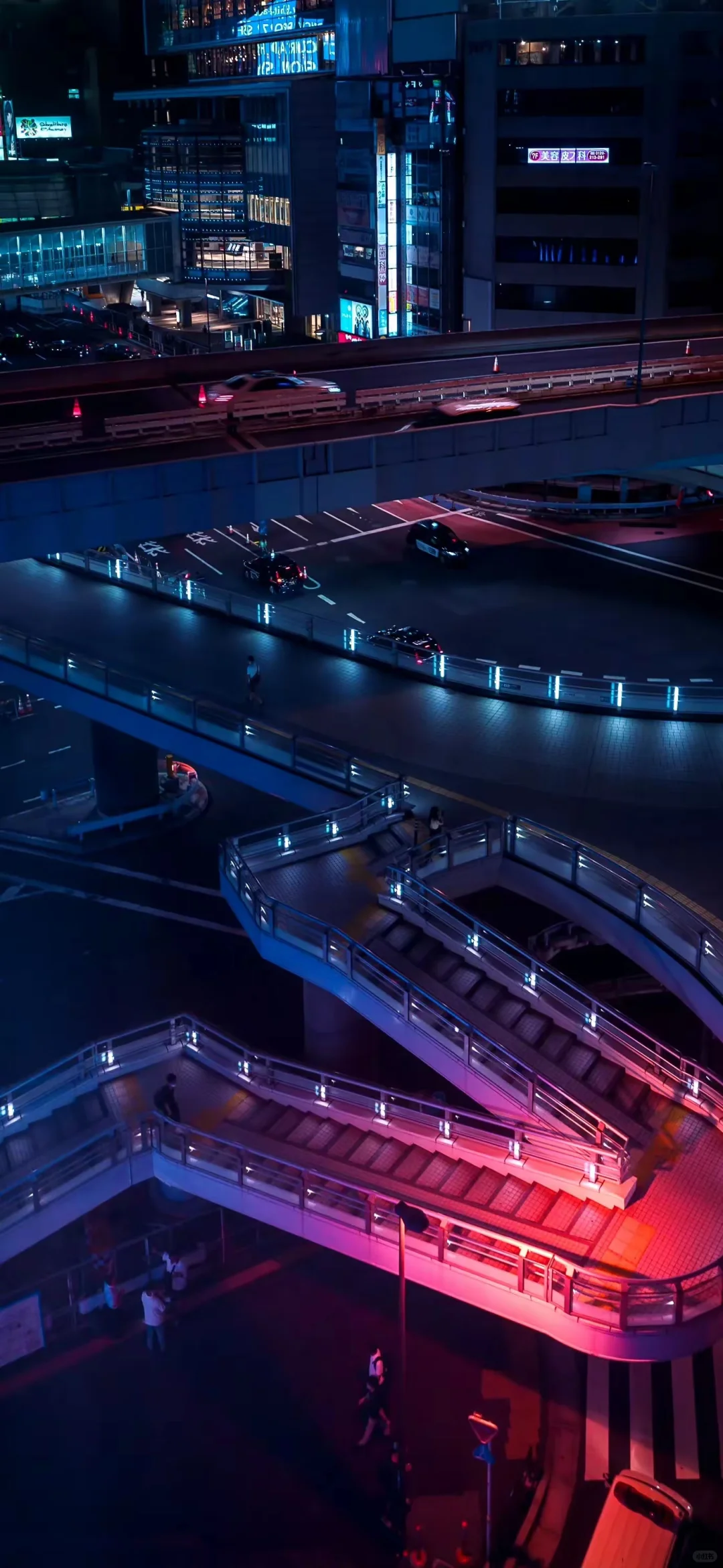 【手机壁纸分享】2025.12.6