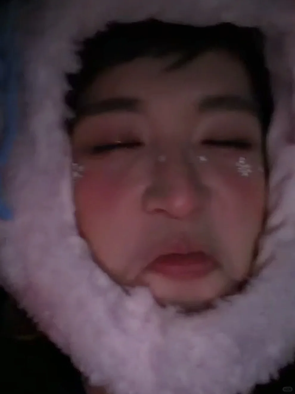 新鲜出炉表情包