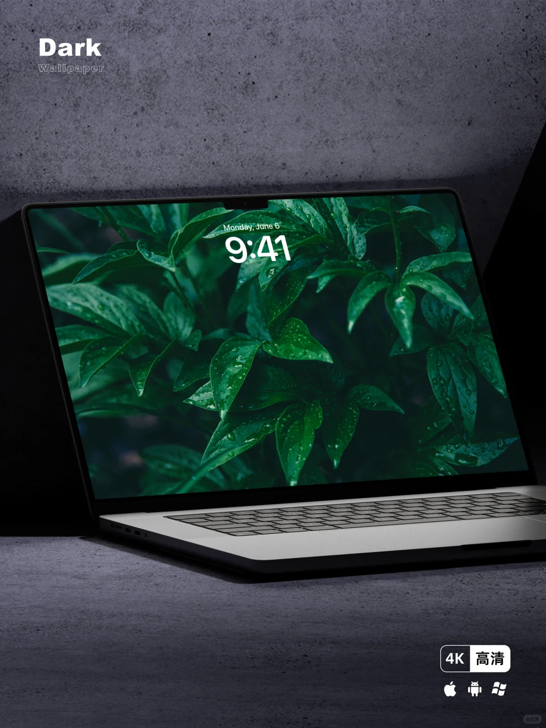 每日壁纸｜绿叶｜手机平板电脑壁纸