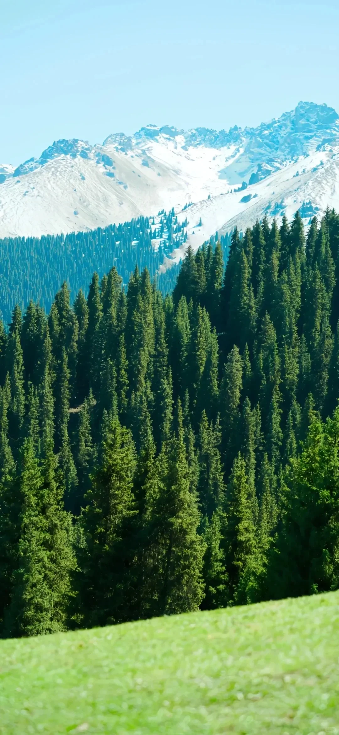 December 7, 2025｜壁纸