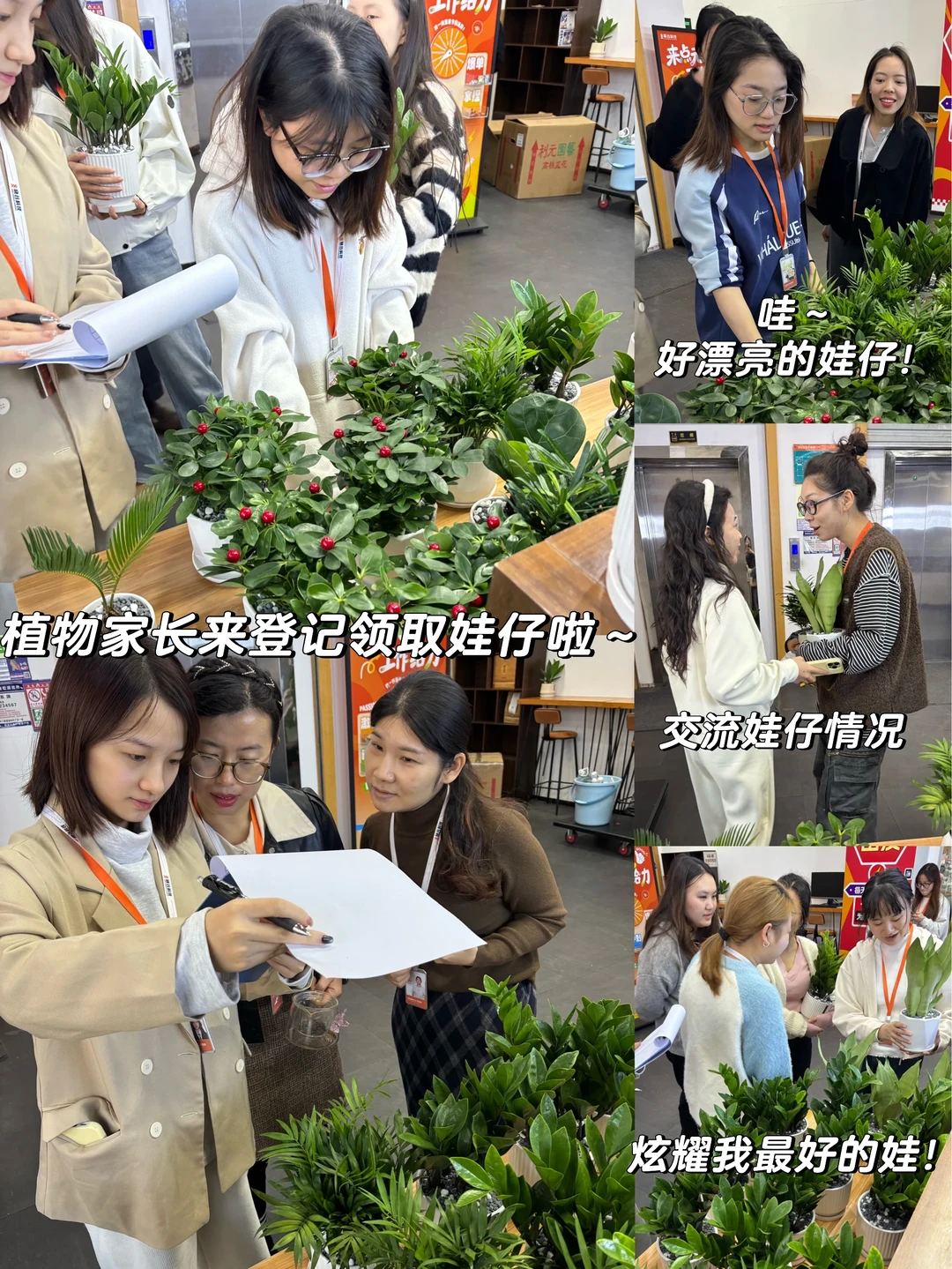 工位绿植｜快来PICK你最喜欢的娃仔🪴
