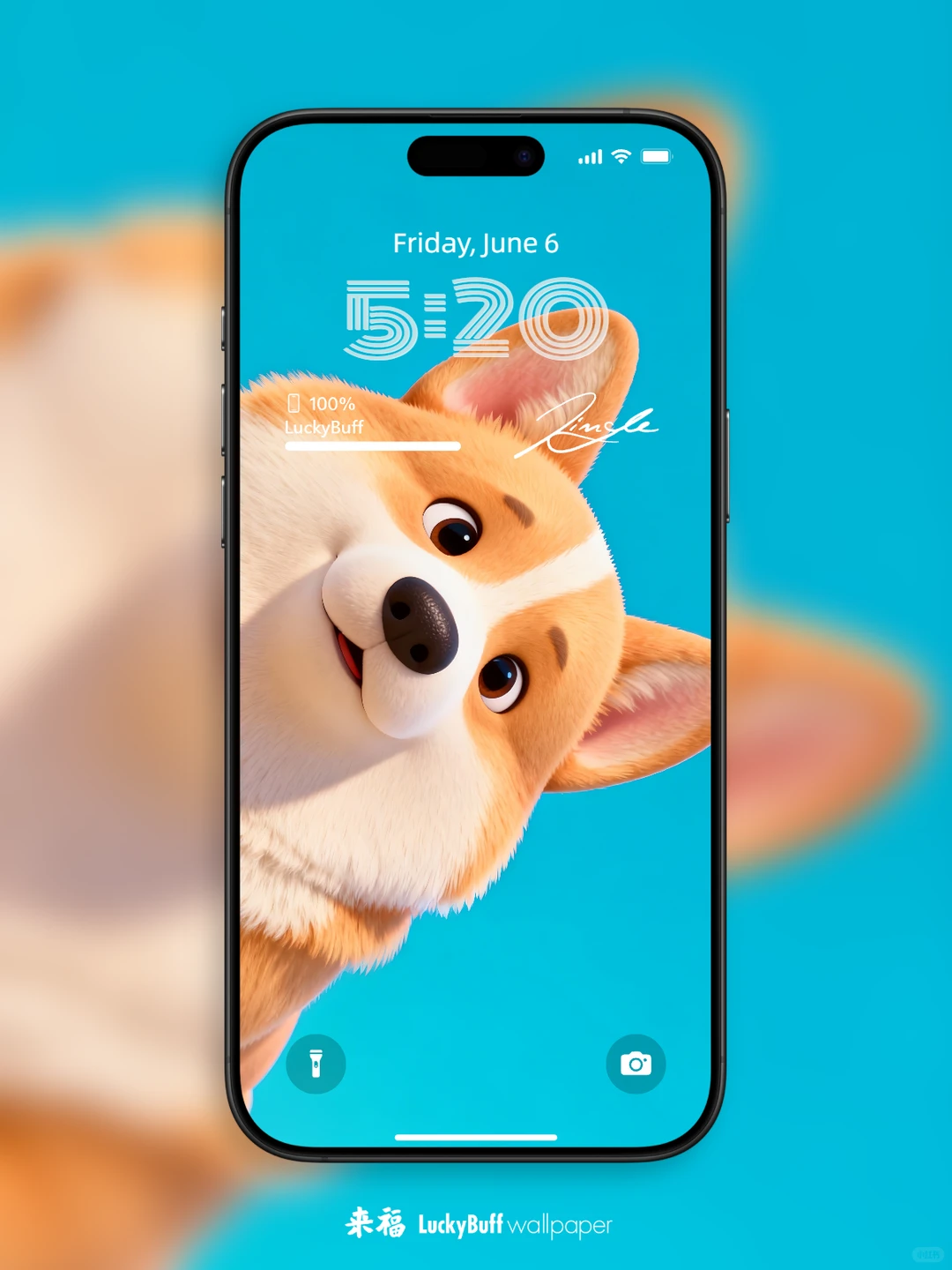 超治愈的柯基狗狗壁纸来咯～