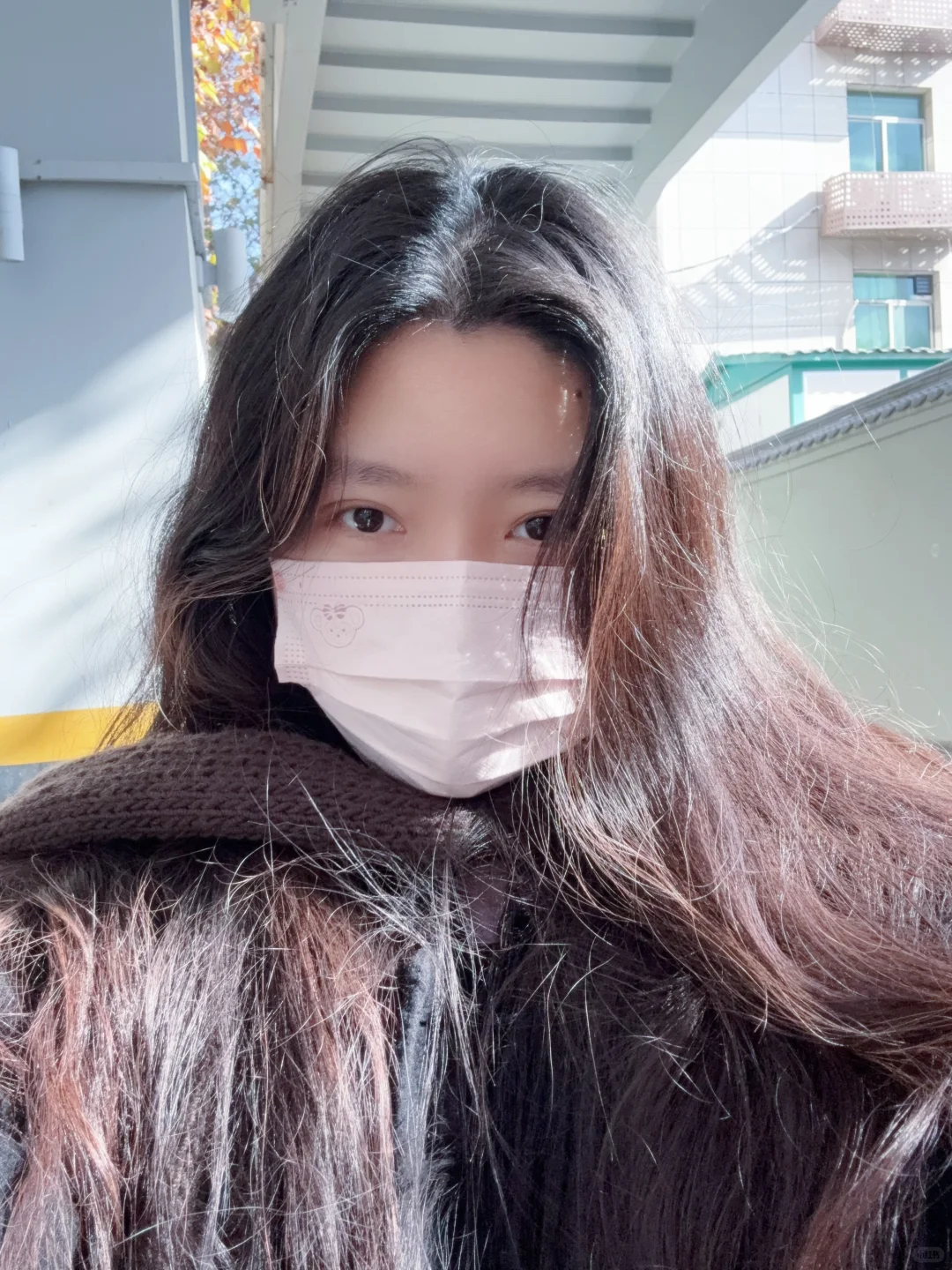 淡淡的老式女友