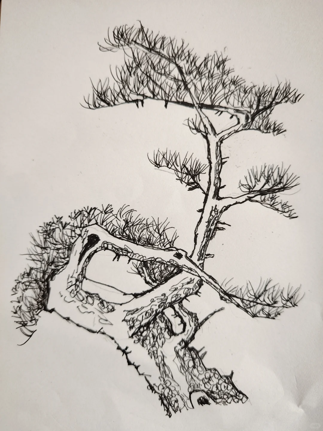 99%的人都找不出第十张人脸