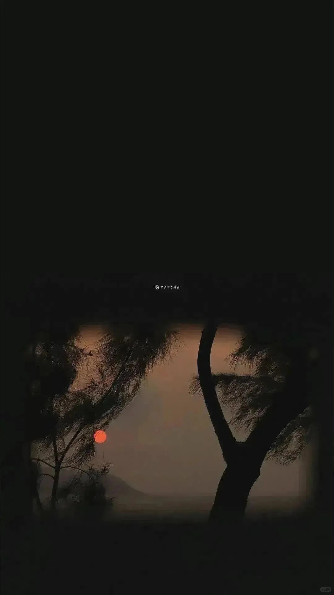 𝙒𝙚𝘾𝙝𝙖𝙩壁纸｜一眼沉沦的高级感