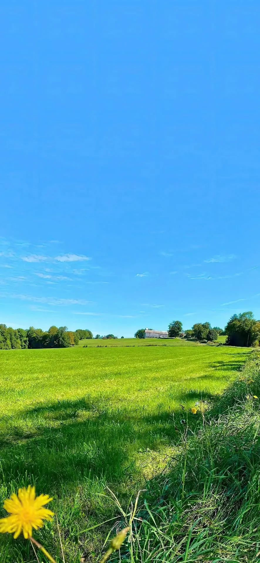 December 7, 2025｜壁纸