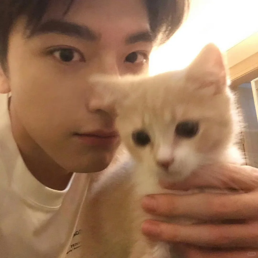 人间尤物林一！！！