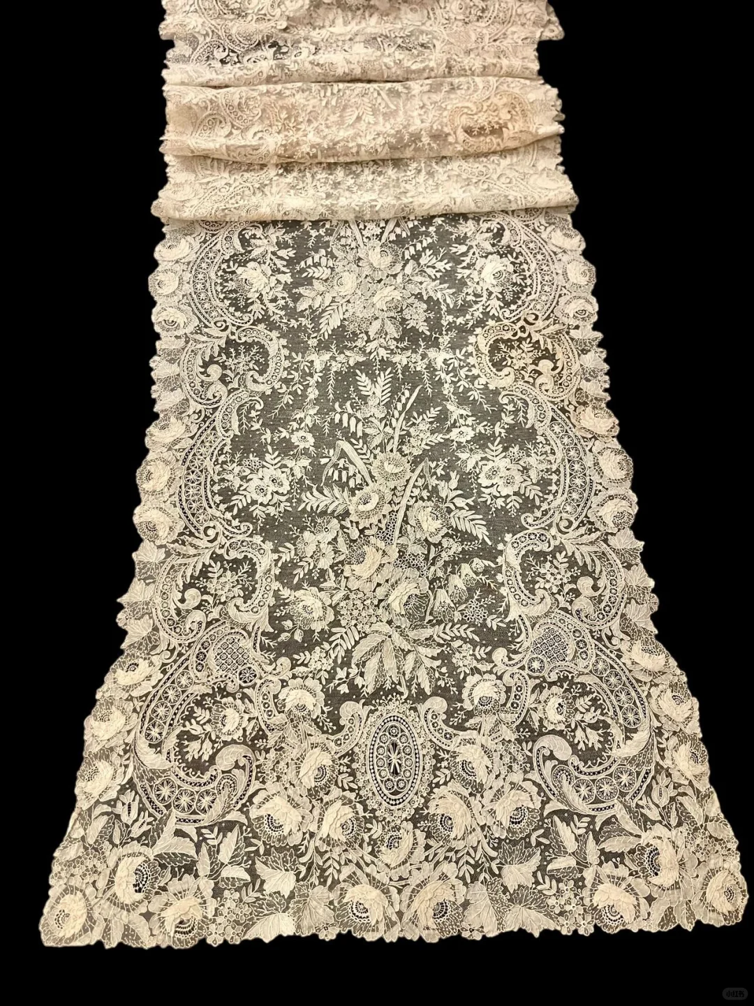 🕊️百年蕾丝—博物馆级的薄雾之花！！！！