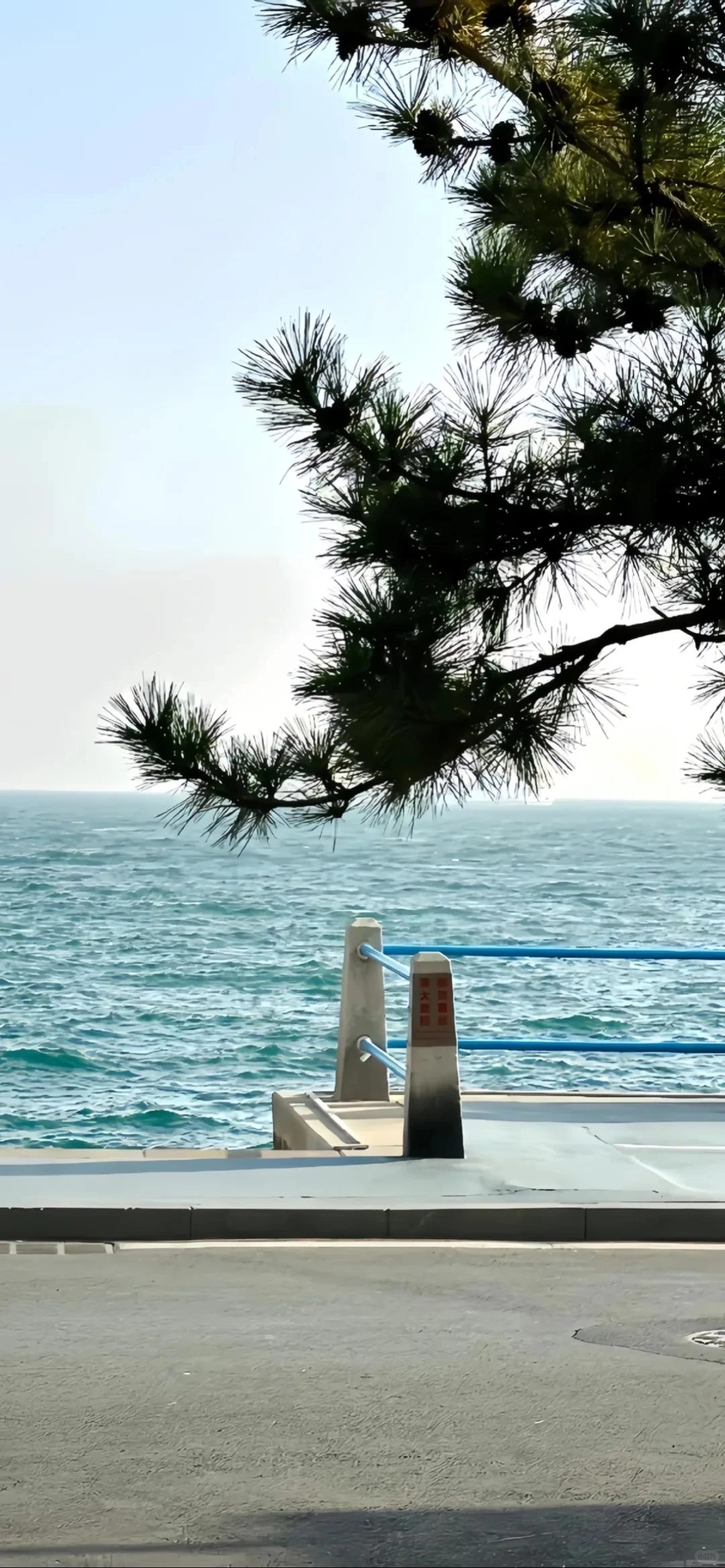 纯欲 倾国倾城壁纸分享