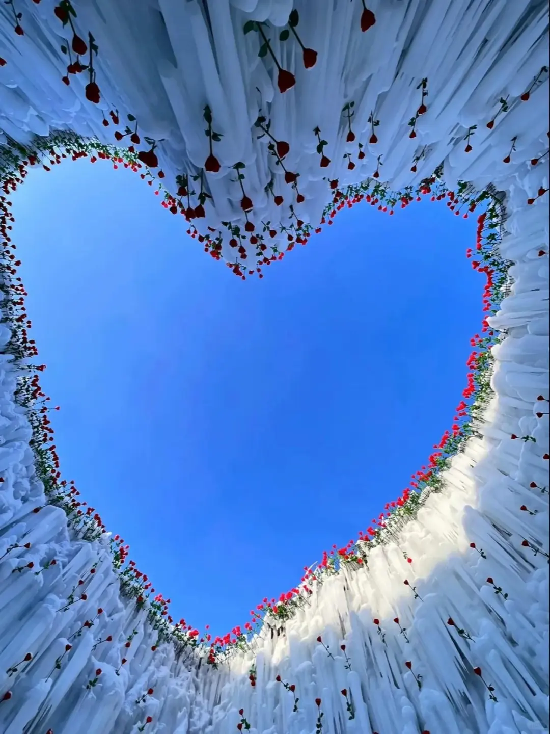 红高粱和长白山还有冰封玫瑰