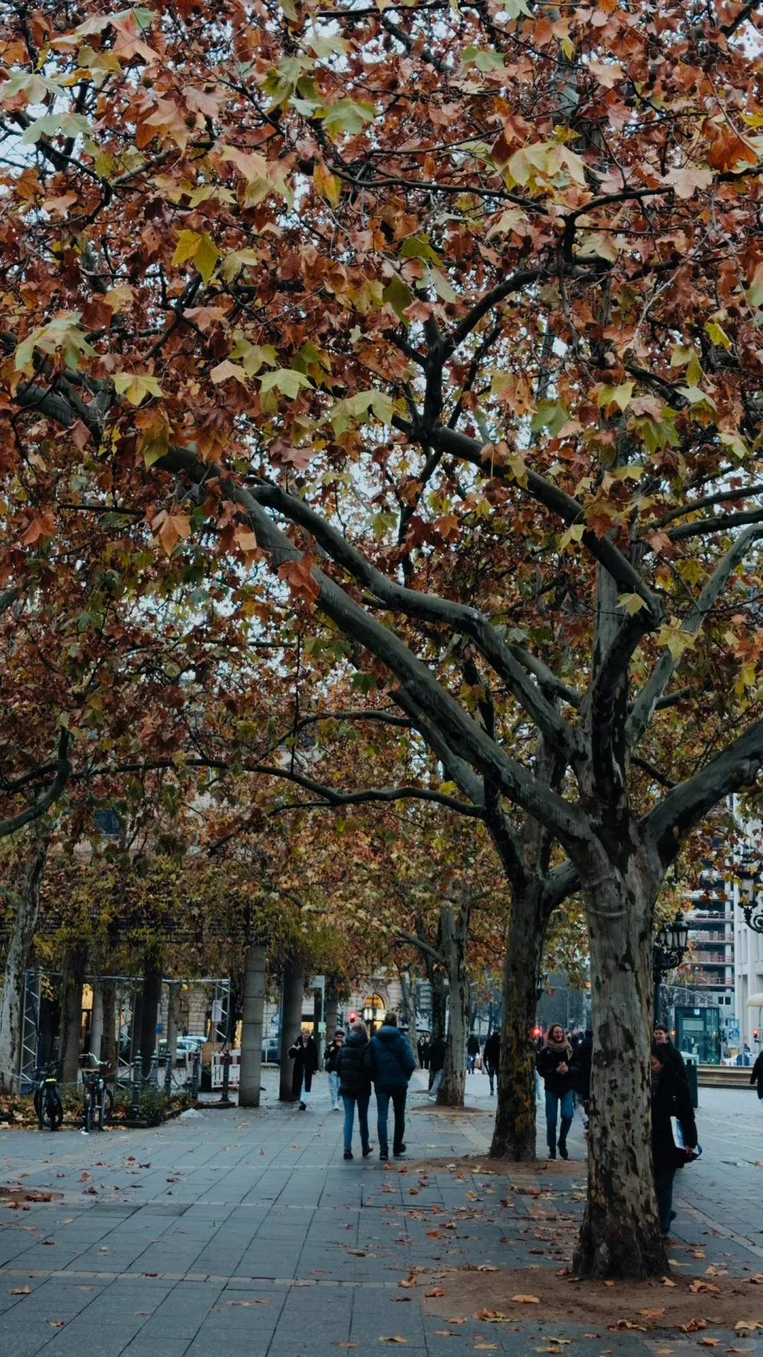 与往事和解，拥当下入怀，向未来微笑