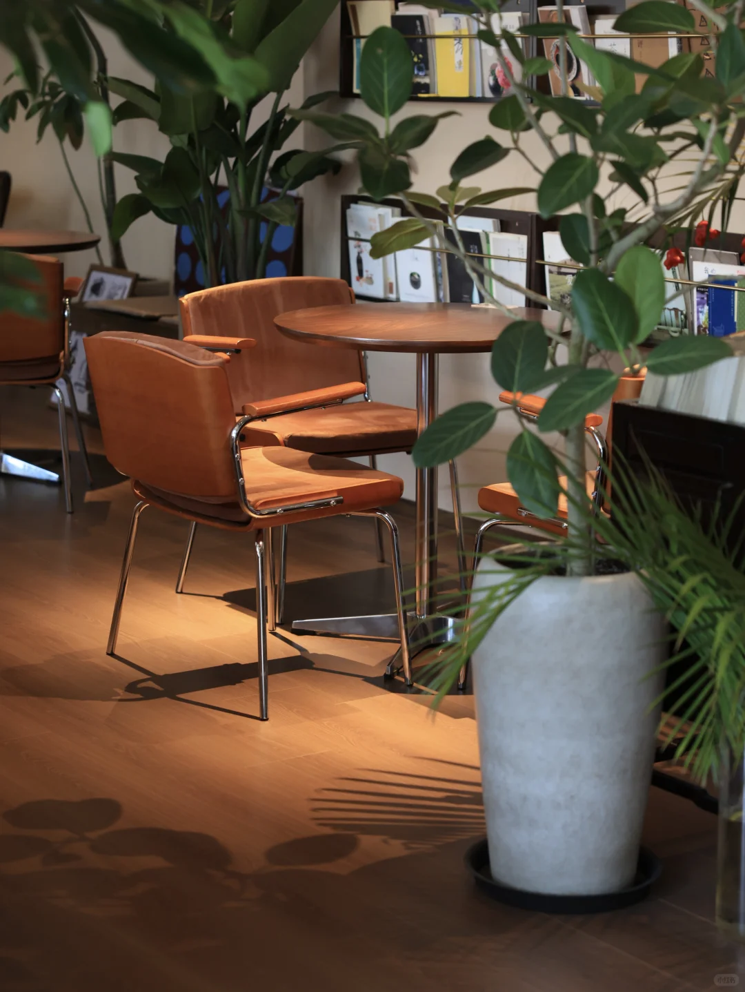 有新啦·半山一人食·新中式健康餐