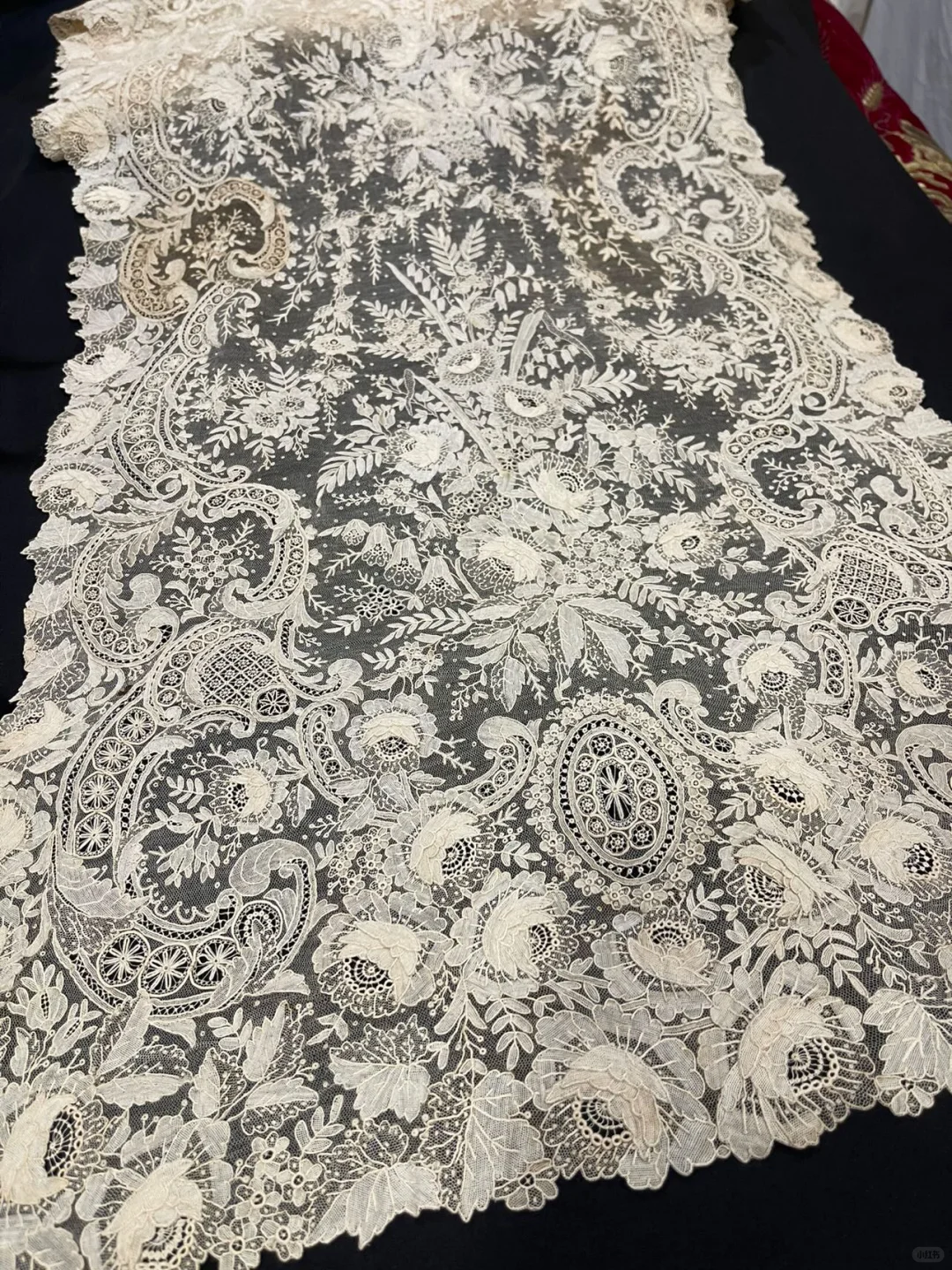 🕊️百年蕾丝—博物馆级的薄雾之花！！！！