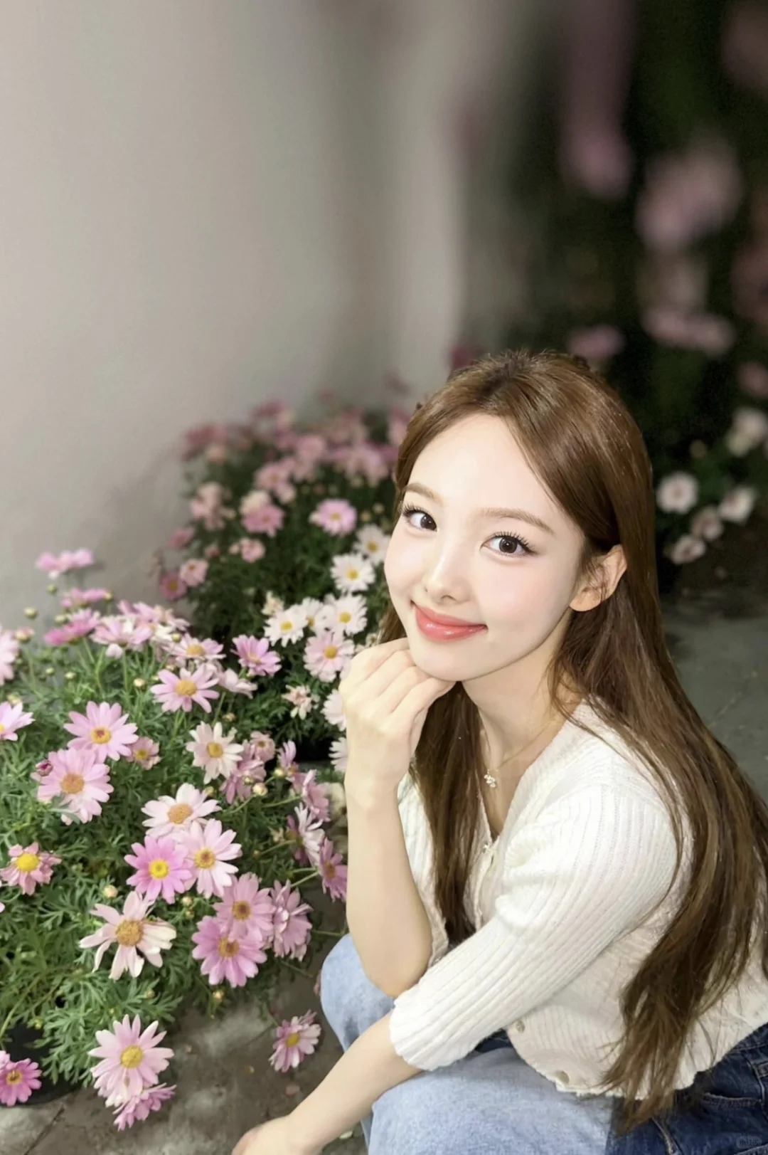 壁纸分享，脸姐好米