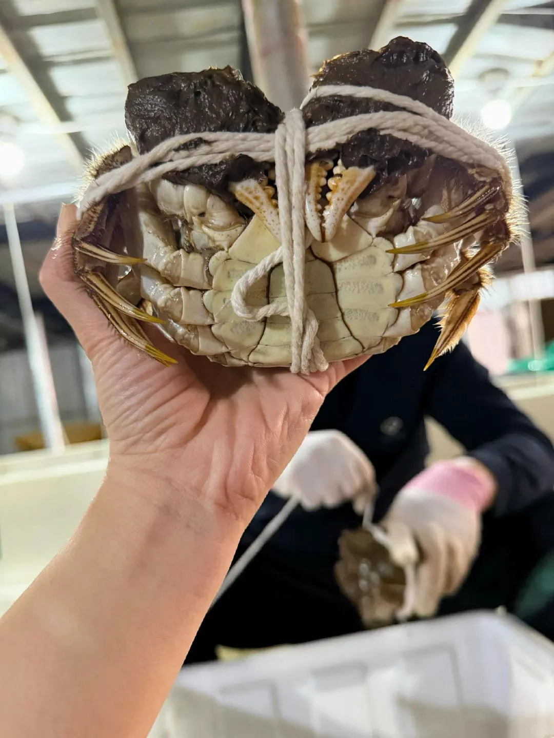 糊嗓警告❗绝啊，比猪油还香的公蟹膏~