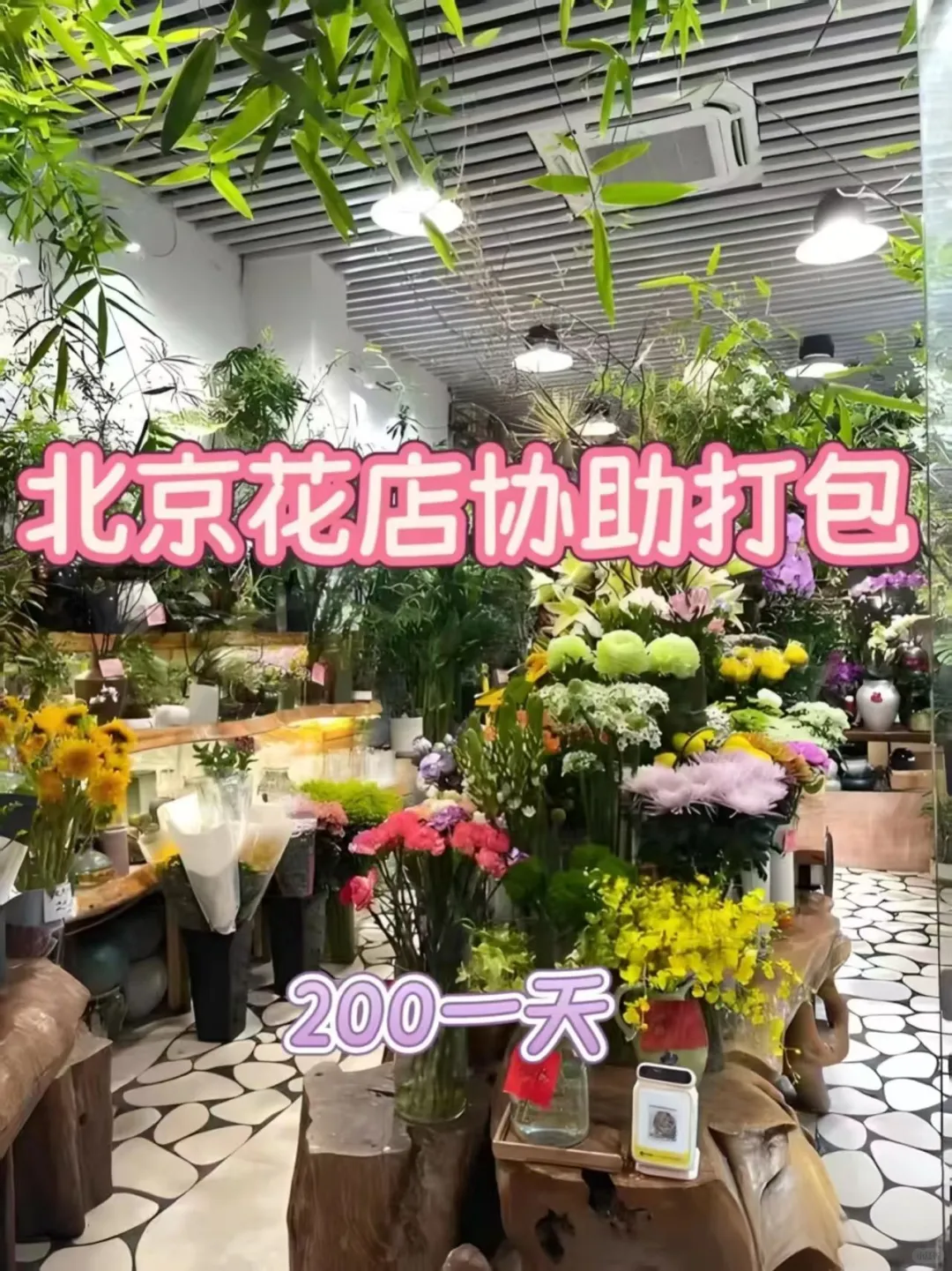 百事合意，满心欢喜