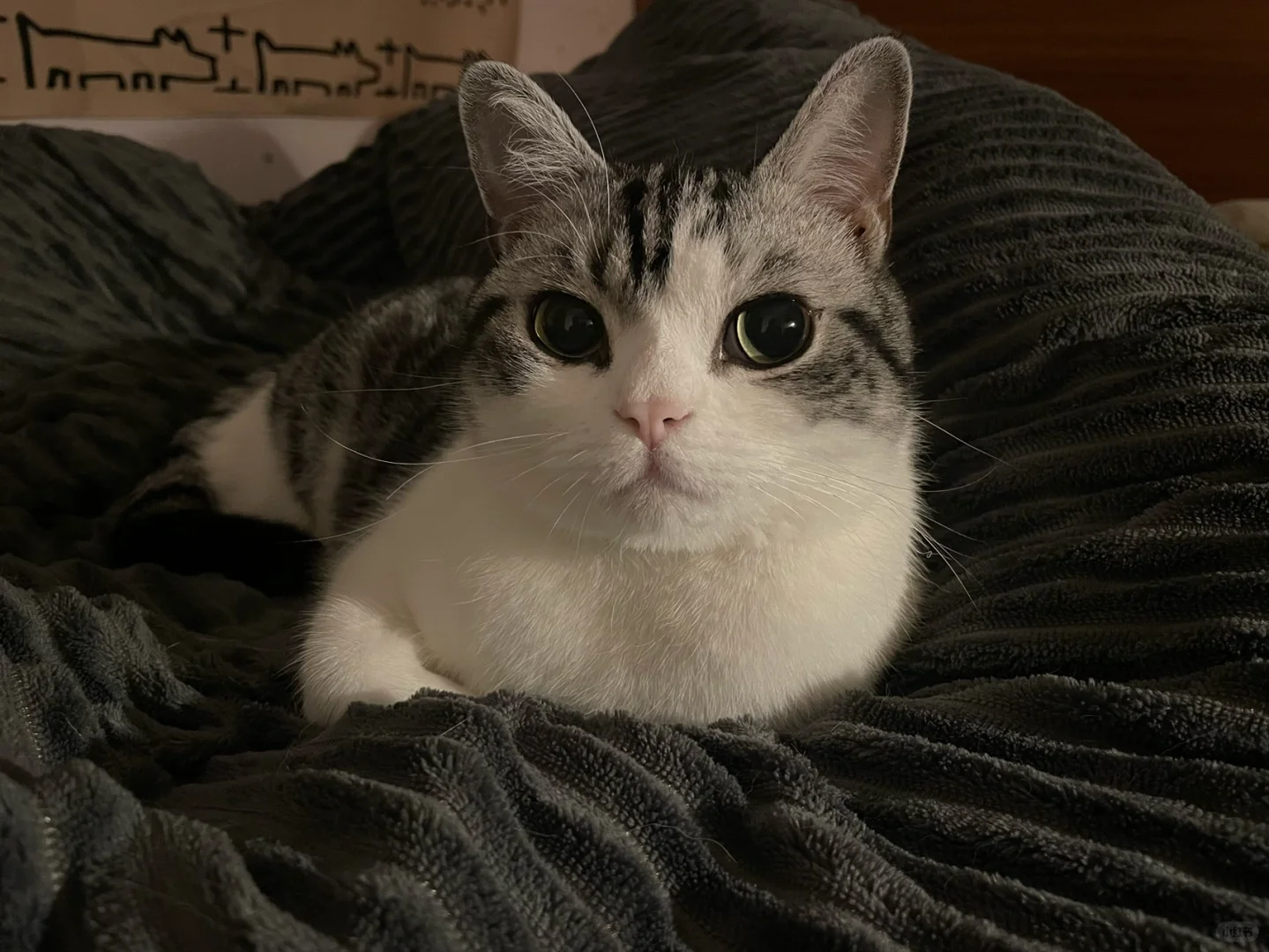 啥叫媚眼如丝啊