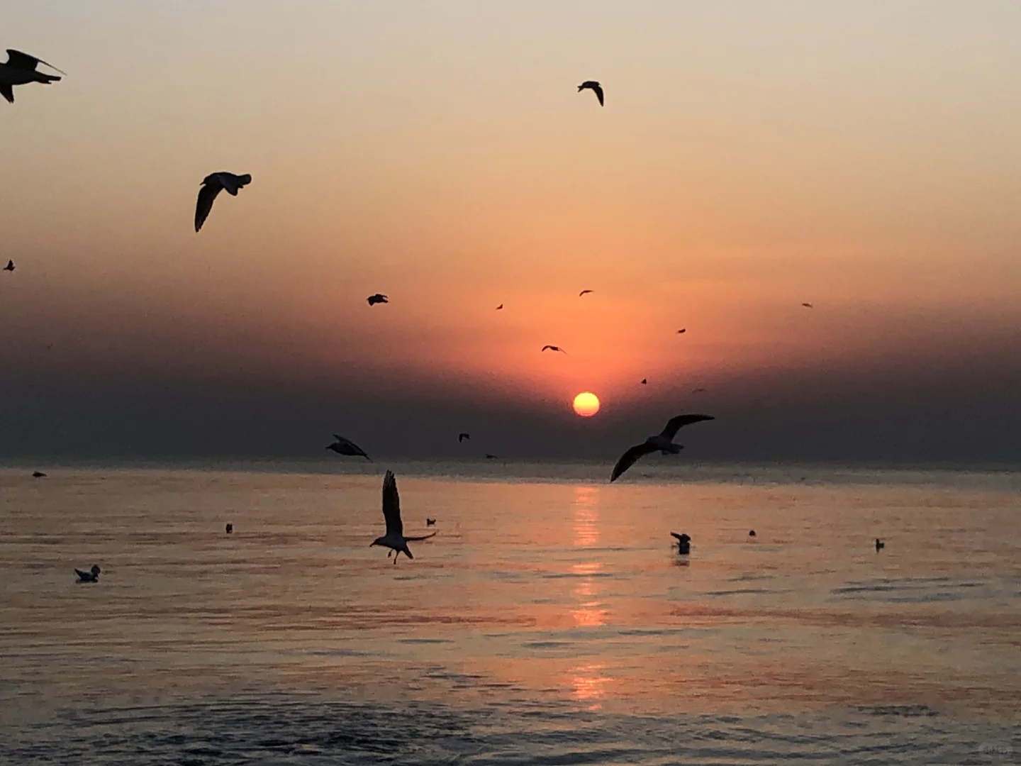 卡哈特与海边更配