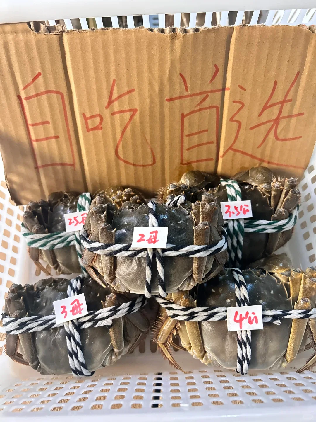 糊嗓警告❗绝啊，比猪油还香的公蟹膏~