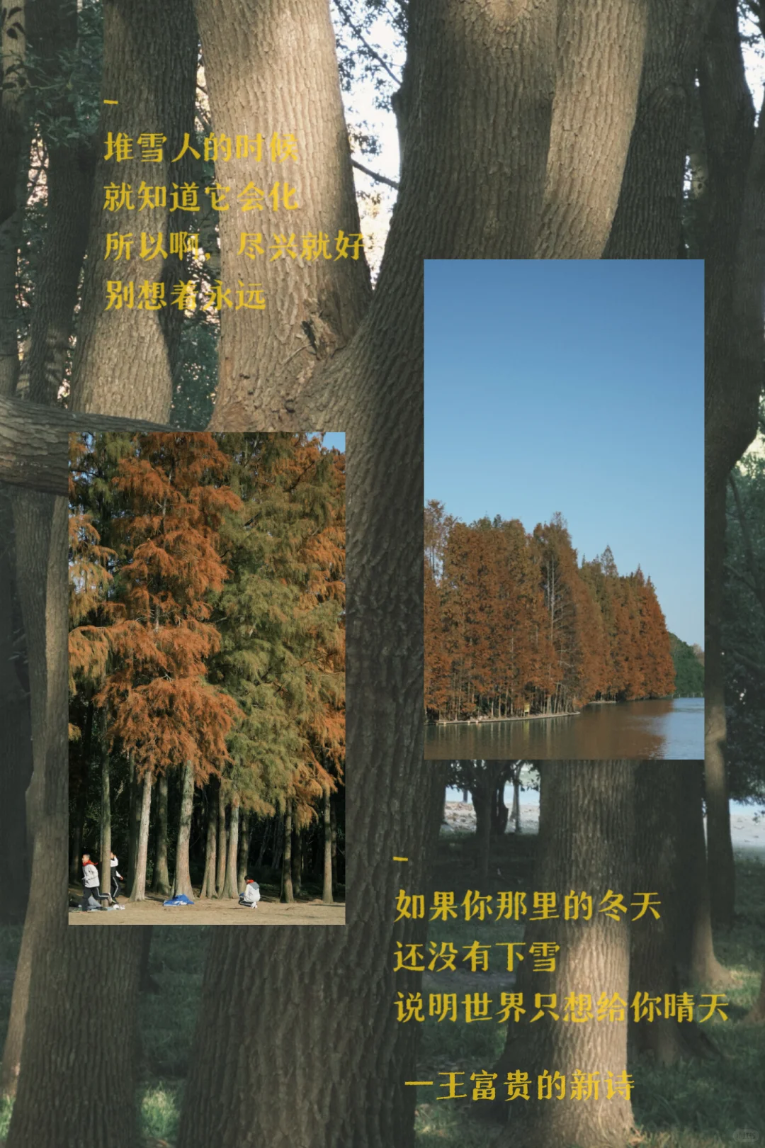 ☀️【天气好极了，钱几乎没有。】