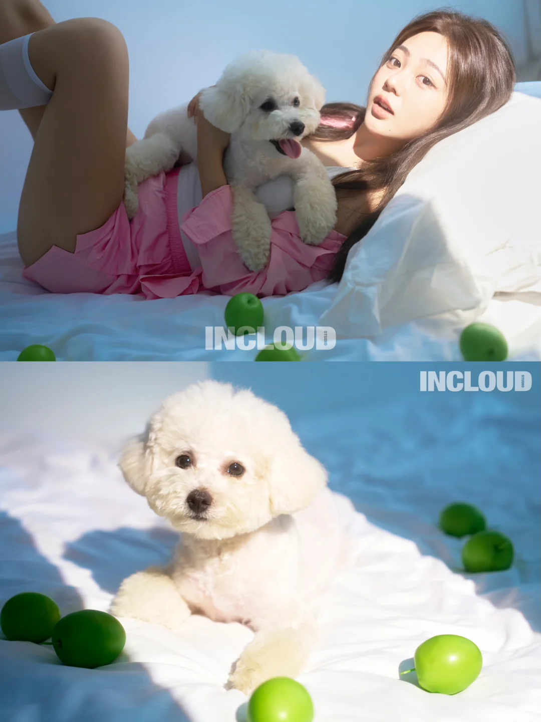 世界破破烂烂🐩小狗缝缝补补🍏笑容万岁🍭