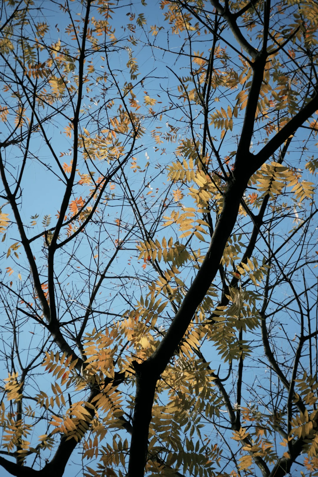 ☀️【天气好极了，钱几乎没有。】