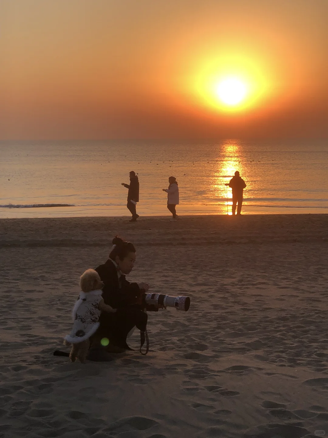 卡哈特与海边更配