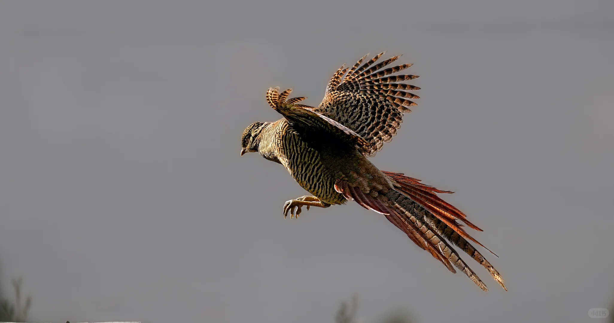 媚眼如丝，橙色眼线