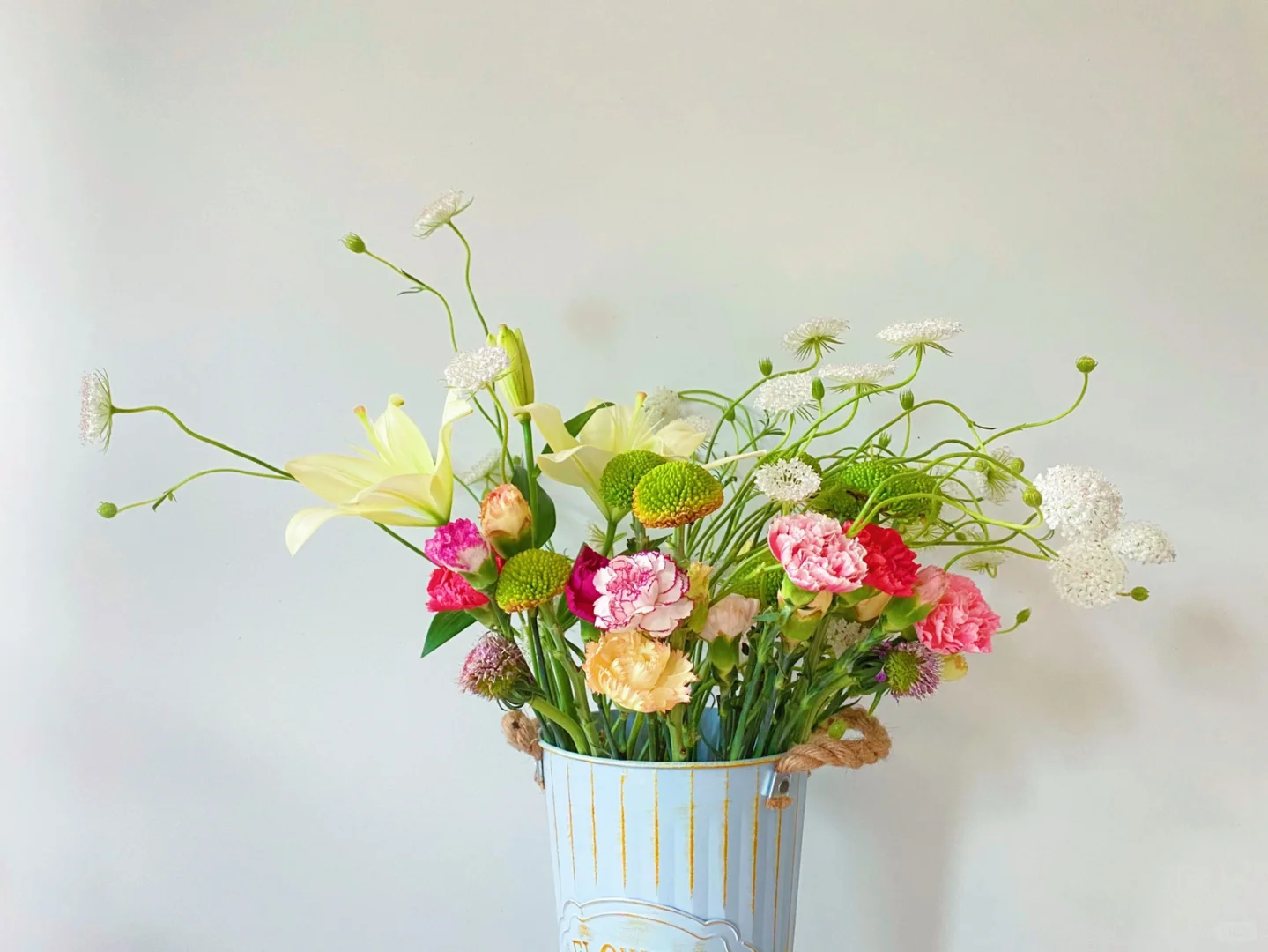 点缀叶间如绣——翠珠