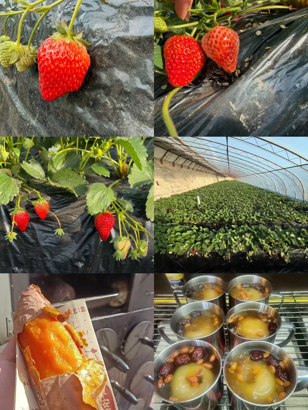 离开医院后感觉一切都好可爱☺️