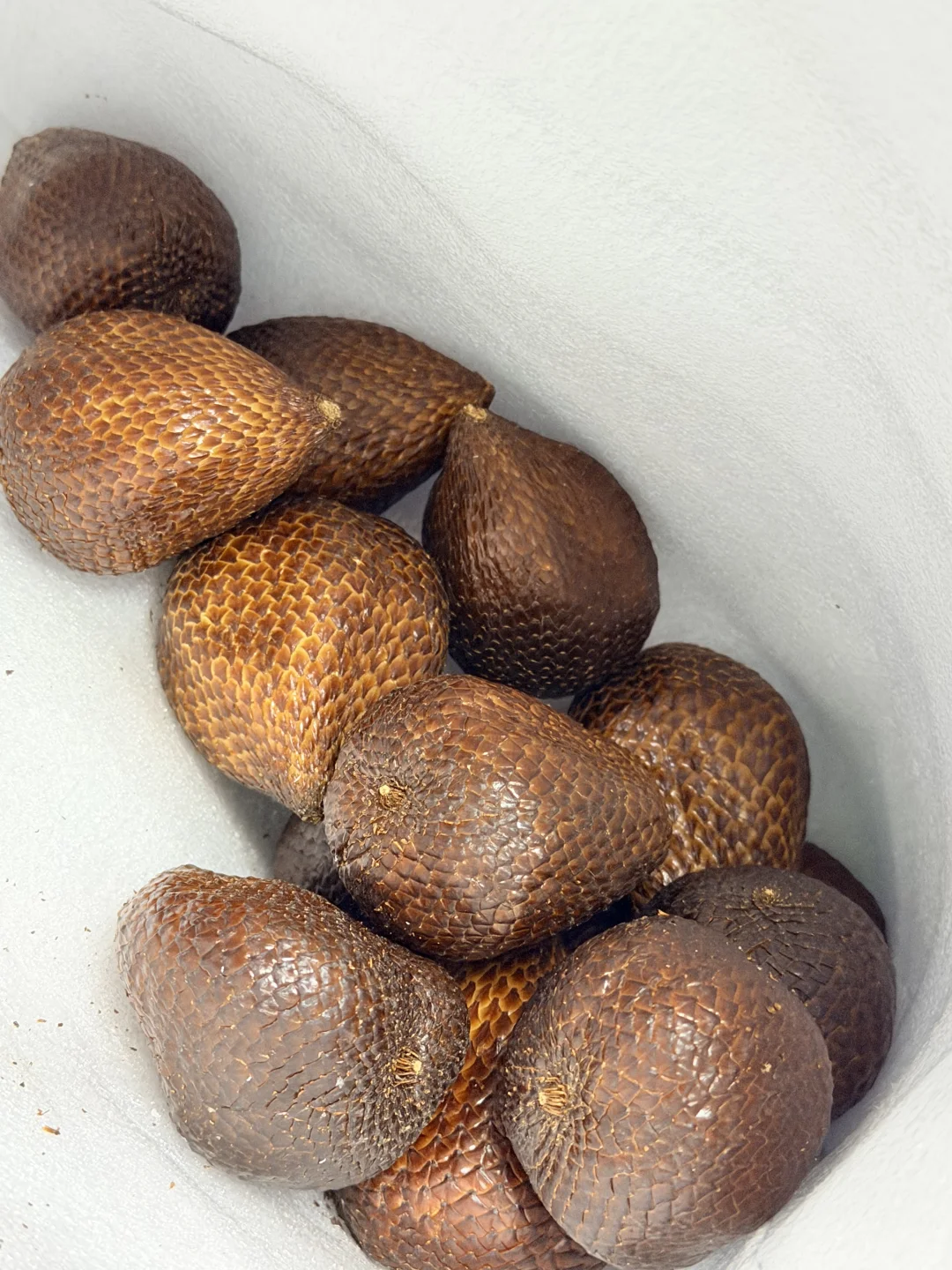 澳门🇲🇴｜吃喝随记穿睡衣出门的快乐谁懂