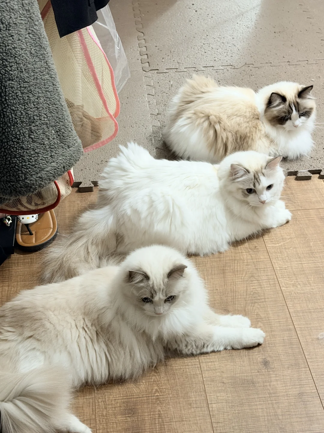 澳门🇲🇴｜吃喝随记穿睡衣出门的快乐谁懂