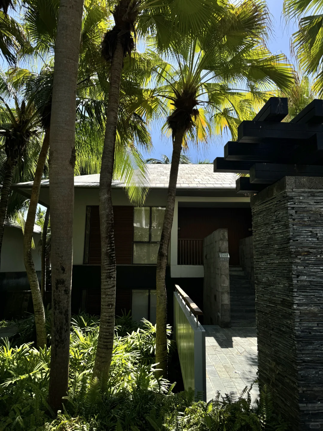 160斤度假穿搭分享🥥