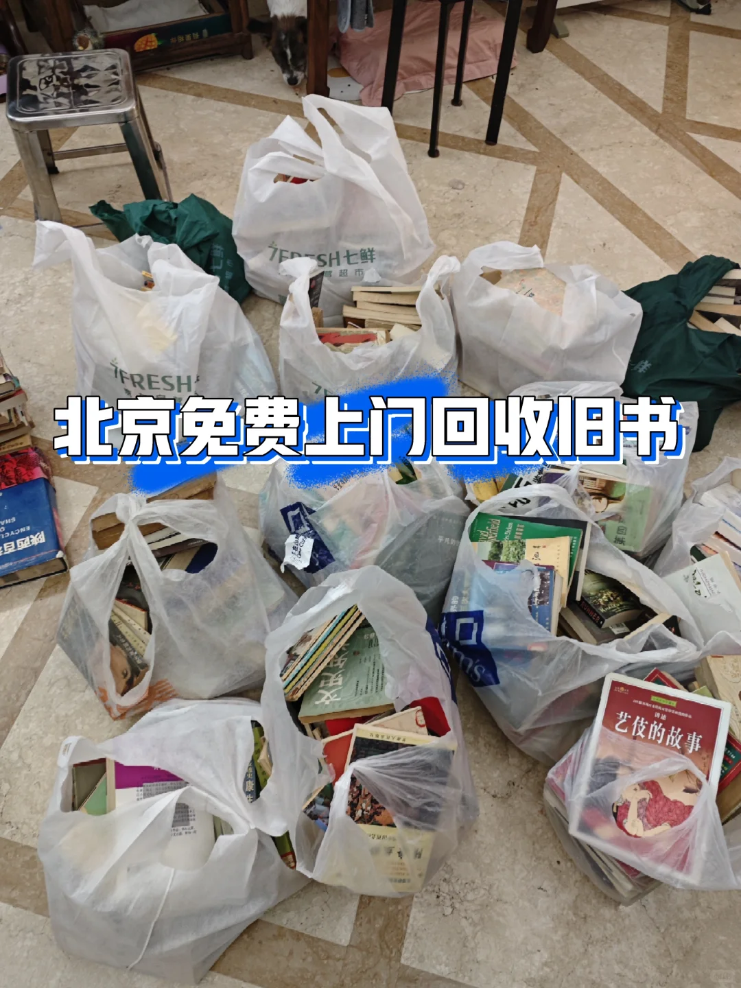 📚🆘北京胡同里的书精集体造反啦！！